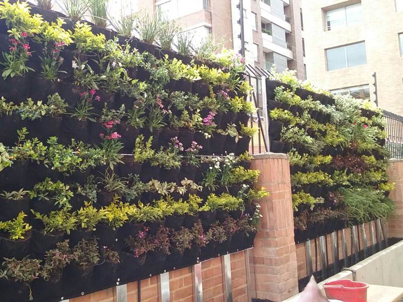 Jardines verticales de Wata S.A.S