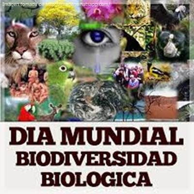 ¿QUÉ PODEMOS HACER PARA PROTEGER LA BIODIVERSIDAD?