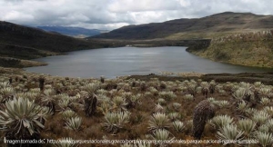 LA NORMATIVIDAD AMBIENTAL